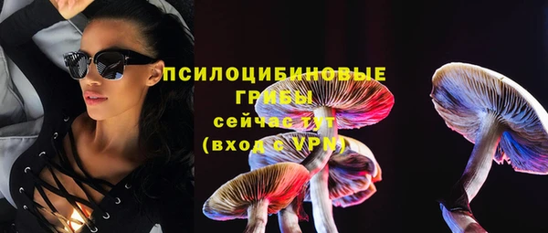 прущий лед Бородино