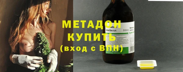 индика Струнино
