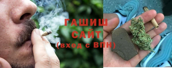 прущий лед Бородино