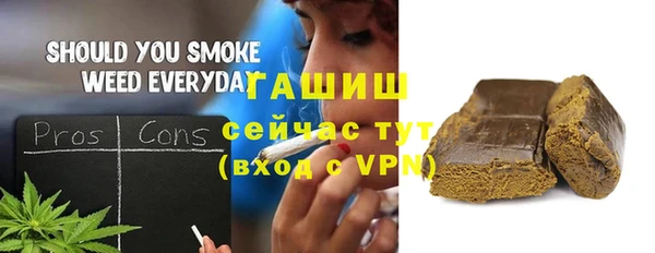 прущий лед Бородино