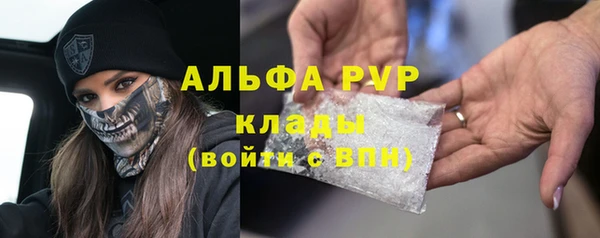 PSILOCYBIN Бронницы