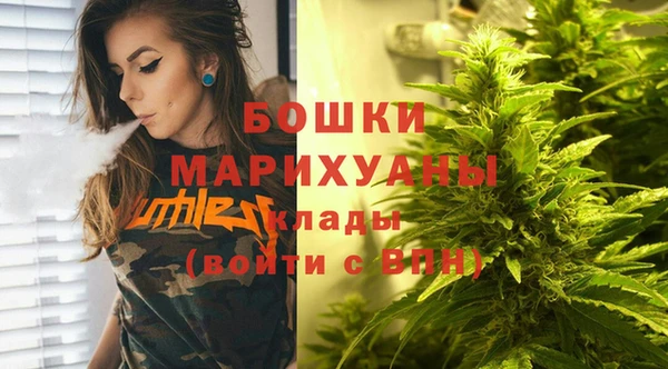 прущий лед Бородино