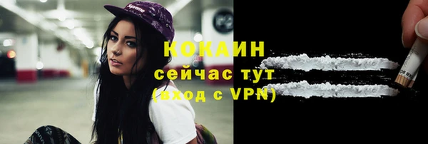 прущий лед Бородино