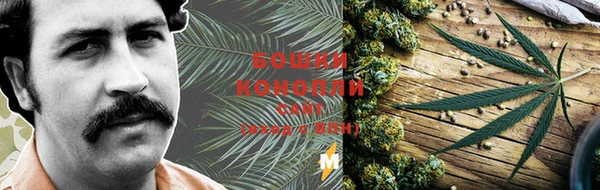 PSILOCYBIN Бронницы